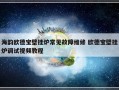 海韵欧德宝壁挂炉常见故障维修 欧德宝壁挂炉调试视频教程