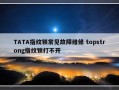 TATA指纹锁常见故障维修 topstrong指纹锁打不开