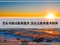 怎么才能让肌肉变大 怎么让肌肉变大的快