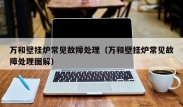 万和壁挂炉常见故障处理（万和壁挂炉常见故障处理图解）