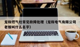 龙和燃气灶常见故障处理（龙和电气有限公司老板叫什么名字）