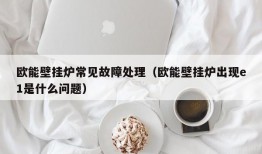 欧能壁挂炉常见故障处理（欧能壁挂炉出现e1是什么问题）