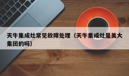 天牛集成灶常见故障处理（天牛集成灶是美大集团的吗）