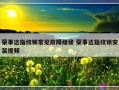 荣事达指纹锁常见故障维修 荣事达指纹锁安装视频