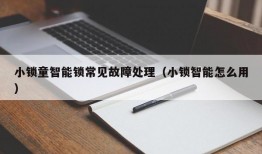 小锁童智能锁常见故障处理（小锁智能怎么用）