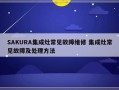 SAKURA集成灶常见故障维修 集成灶常见故障及处理方法