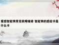 爱感智能锁常见故障维修 智能锁的感应卡是什么卡