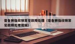 普鲁狮指纹锁常见故障处理（普鲁狮指纹锁常见故障处理视频）