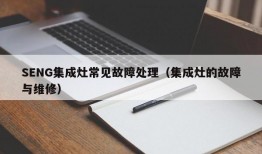 SENG集成灶常见故障处理（集成灶的故障与维修）