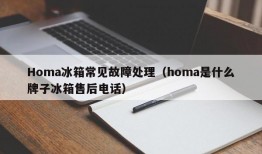 Homa冰箱常见故障处理（homa是什么牌子冰箱售后电话）