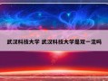 武汉科技大学 武汉科技大学是双一流吗