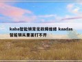 kaba智能锁常见故障维修 kaadas智能锁从里面打不开