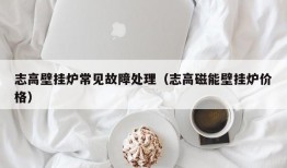 志高壁挂炉常见故障处理（志高磁能壁挂炉价格）