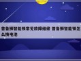 普鲁狮智能锁常见故障维修 普鲁狮智能锁怎么换电池