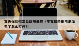 文迈保险柜常见故障处理（李文保险柜电池没电了怎么打开?）