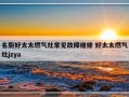 名厨好太太燃气灶常见故障维修 好太太燃气灶jzya