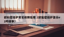 欧科壁挂炉常见故障处理（欧能壁挂炉显示e2咋回事）