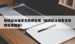 帕琪丝冰箱常见故障处理（帕琪丝冰箱常见故障处理图解）