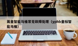 英皇智能马桶常见故障处理（yphb皇标智能马桶）