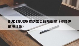 BUDERUS壁挂炉常见故障处理（壁挂炉故障诊断）