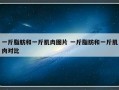 一斤脂肪和一斤肌肉图片 一斤脂肪和一斤肌肉对比