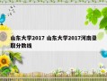 山东大学2017 山东大学2017河南录取分数线