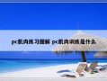 pc肌肉练习图解 pc肌肉训练是什么