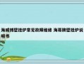 海威博壁挂炉常见故障维修 海哥牌壁挂炉说明书