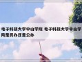 电子科技大学中山学院 电子科技大学中山学院是民办还是公办