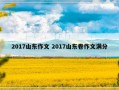 2017山东作文 2017山东卷作文满分